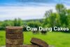 Cow Dung Cake Amazon